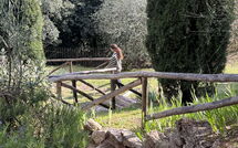 Foto ingevoerd door een huurder van La Sorgente