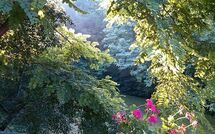 Foto ingevoerd door een huurder van Podere Il Doccio