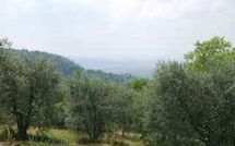 Foto ingevoerd door een huurder van San Romolo