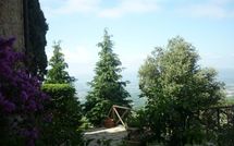 Foto ingevoerd door een huurder van La Capraia