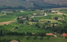 Foto ingevoerd door een huurder van Podere la Marronaia