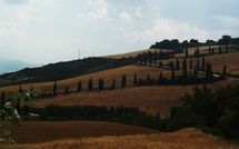 Foto ingevoerd door een huurder van Podere la Marronaia