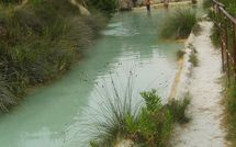 Foto ingevoerd door een huurder van Podere la Marronaia