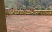 Foto ingevoerd door een huurder van Podere la Marronaia