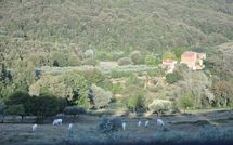 Foto ingevoerd door een huurder van Montescalari