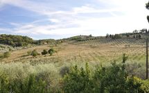 Foto ingevoerd door een huurder van Montescalari