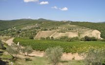 Foto ingevoerd door een huurder van Contessa di Gaiole