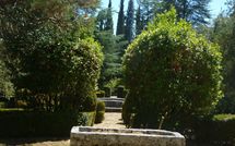 Foto ingevoerd door een huurder van Palazzo Sarteano