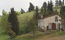 Foto ingevoerd door een huurder van Borgo Tollena