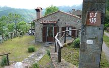 Foto ingevoerd door een huurder van Paradiso