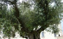 Foto ingevoerd door een huurder van Paradiso