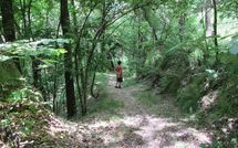 Foto ingevoerd door een huurder van Il Palazzetto