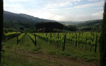 Foto ingevoerd door een huurder van Montescalari