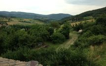 Foto ingevoerd door een huurder van Casa Monica