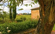 Foto ingevoerd door een huurder van Agriturismo la Papessa