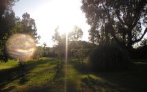 Foto ingevoerd door een huurder van Maria Vittoria