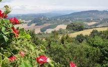 Foto ingevoerd door een huurder van La Chiesina di Vittorio