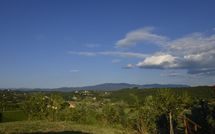 Foto ingevoerd door een huurder van Collina