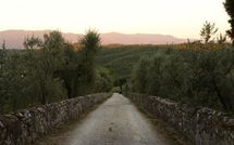 Foto ingevoerd door een huurder van Collina