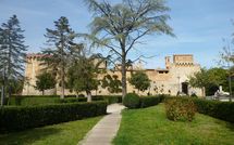 Foto ingevoerd door een huurder van Podere degli Olivi