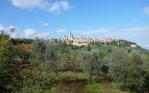 Foto ingevoerd door een huurder van Podere degli Olivi