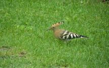 Foto ingevoerd door een huurder van Casa Lucia