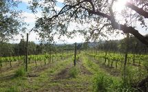 Foto ingevoerd door een huurder van Fattoria le Poggiola