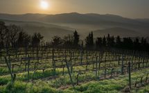 Foto ingevoerd door een huurder van Tenuta