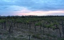 Foto ingevoerd door een huurder van Agriturismo la Papessa