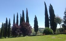 Foto ingevoerd door een huurder van Casa Sabrina