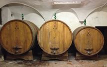 Foto ingevoerd door een huurder van Villa del Mughetto