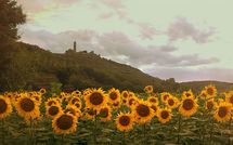 Foto ingevoerd door een huurder van Casa San Martino