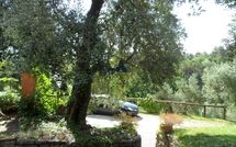 Foto ingevoerd door een huurder van Tenuta Villa la Chiusa Schnautzer