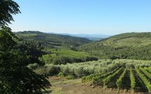 Foto ingevoerd door een huurder van Agriturismo Concadoro