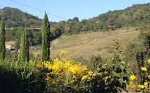 Foto ingevoerd door een huurder van Villa Molinaccio