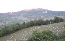 Foto ingevoerd door een huurder van Villa Nibbiano