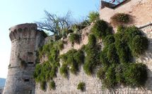 Foto ingevoerd door een huurder van Villa Carolina