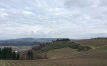 Foto ingevoerd door een huurder van Mercatale