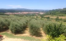 Foto ingevoerd door een huurder van Villa Alabastro