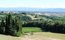 Foto ingevoerd door een huurder van Villa Isabella