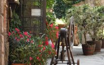 Foto ingevoerd door een huurder van Nel Guasto