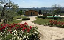 Foto ingevoerd door een huurder van Villa Roberto