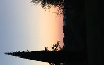 Foto ingevoerd door een huurder van Podere Orietta