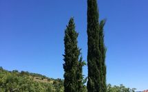 Foto ingevoerd door een huurder van Casa Caldesi