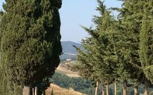 Foto ingevoerd door een huurder van Casa Cipressi