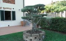 Foto ingevoerd door een huurder van Antico Fienile