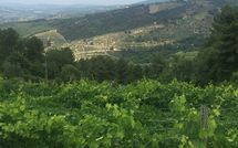 Foto ingevoerd door een huurder van Castellinuzza