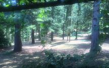 Foto ingevoerd door een huurder van Palazzo Rosadi