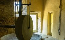 Foto ingevoerd door een huurder van Podere Torremozza