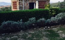 Foto ingevoerd door een huurder van Isidoro